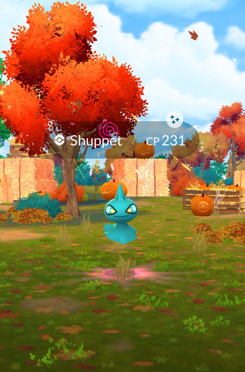 SmileThippy's tweet photo. ɢ०ᵒᒄ ʍᵒʳᐢⁱᐢᵍ(•᎑•๑)ഒ·ﾟ
#ShinySkarmory
#ShinyShuppet https://t.co/3gpJcvcymU