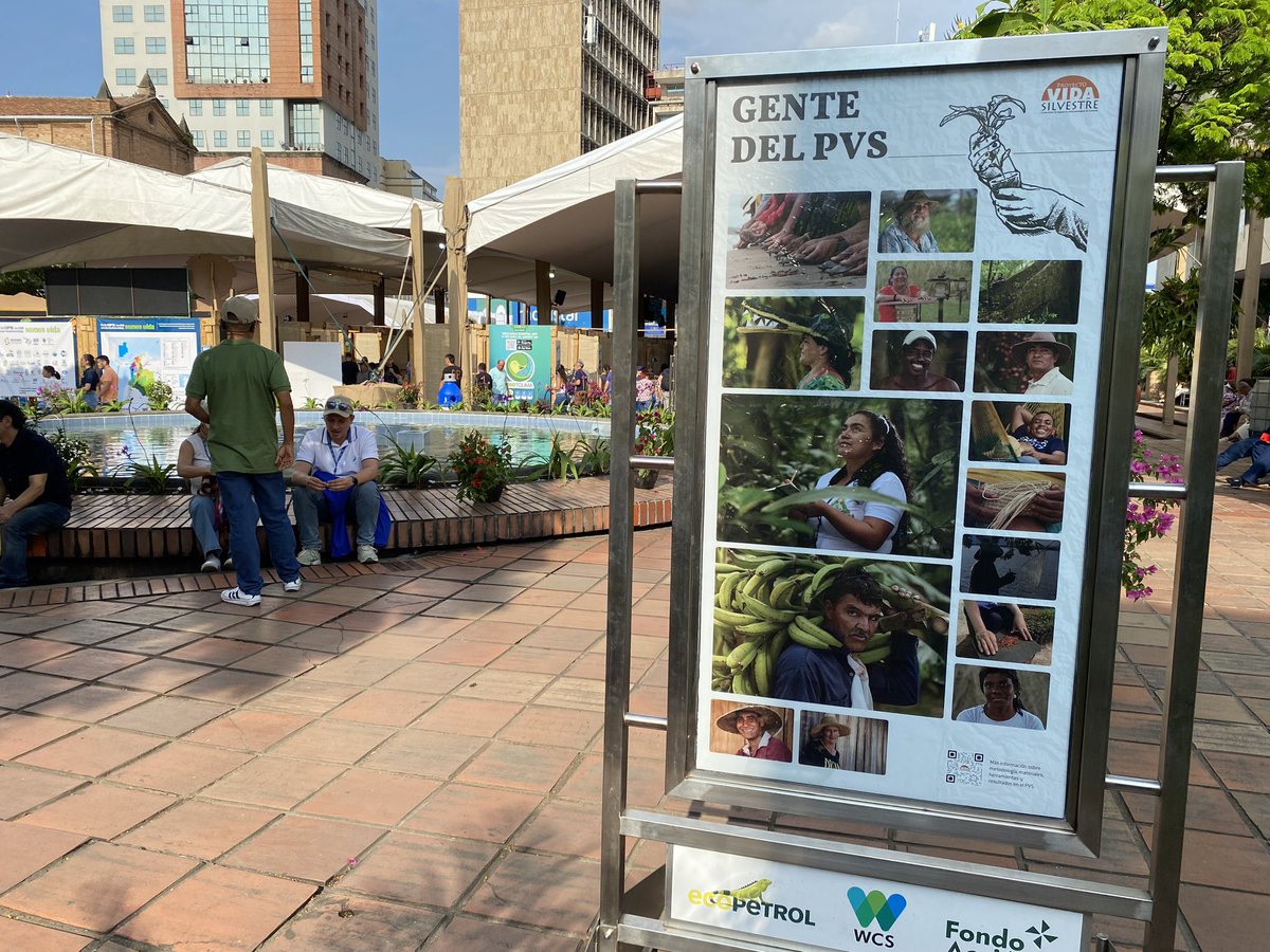 WCS Colombia 💚 (@wcscolombia) on Twitter photo 🙌 La exposición itinerante del #ProyectoVidaSilvestre está presente en la #COP16Colombia. Visítala en la plazoleta San Francisco, #ZonaVerde, hasta el 1 de noviembre. Una cita por la #conservación y la vida.
<a href="/ECOPETROL_SA/">Ecopetrol</a> <a href="/FondoAccion/">Fondo Acción</a> <a href="/COP16Oficial/">COP16 COLOMBIA 🇨🇴</a> 🙌 La exposición itinerante del #ProyectoVidaSilvestre está presente en la #COP16Colombia. Visítala en la plazoleta San Francisco, #ZonaVerde, hasta el 1 de noviembre. Una cita por la #conservación y la vida.
<a href="/ECOPETROL_SA/">Ecopetrol</a> <a href="/FondoAccion/">Fondo Acción</a> <a href="/COP16Oficial/">COP16 COLOMBIA 🇨🇴</a>