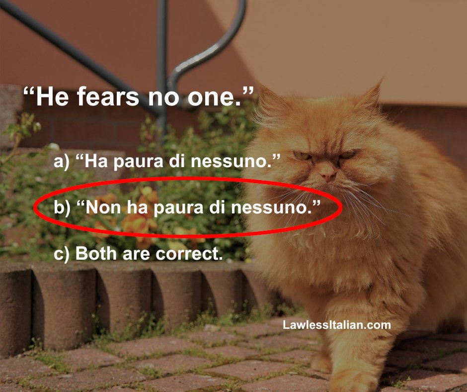 "A" might seem like a verbatim translation, but it fails the #Italian grammar test for negative pronouns: lawl.es/it-neg-pron

#lawlessitalian #italianquiz #learnitalian #italianteacher #italiantest