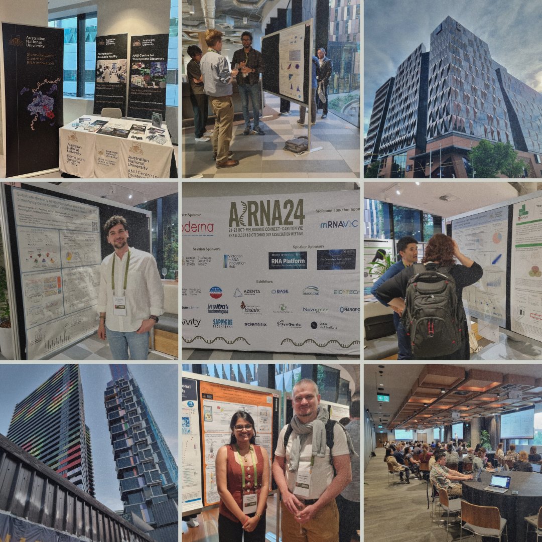 The Shine-Dalgarno Centre for RNA Innovation team are here at <a href="/ARNAconference/">A-RNA</a> at Melbourne Connect (21-24 Oct), hearing from some of Australia’s leading #RNA biologists and presenting our own cutting-edge research. #ARNA2024 #ShineDalgarno #RNAInnovation #Biotech #JCSMR