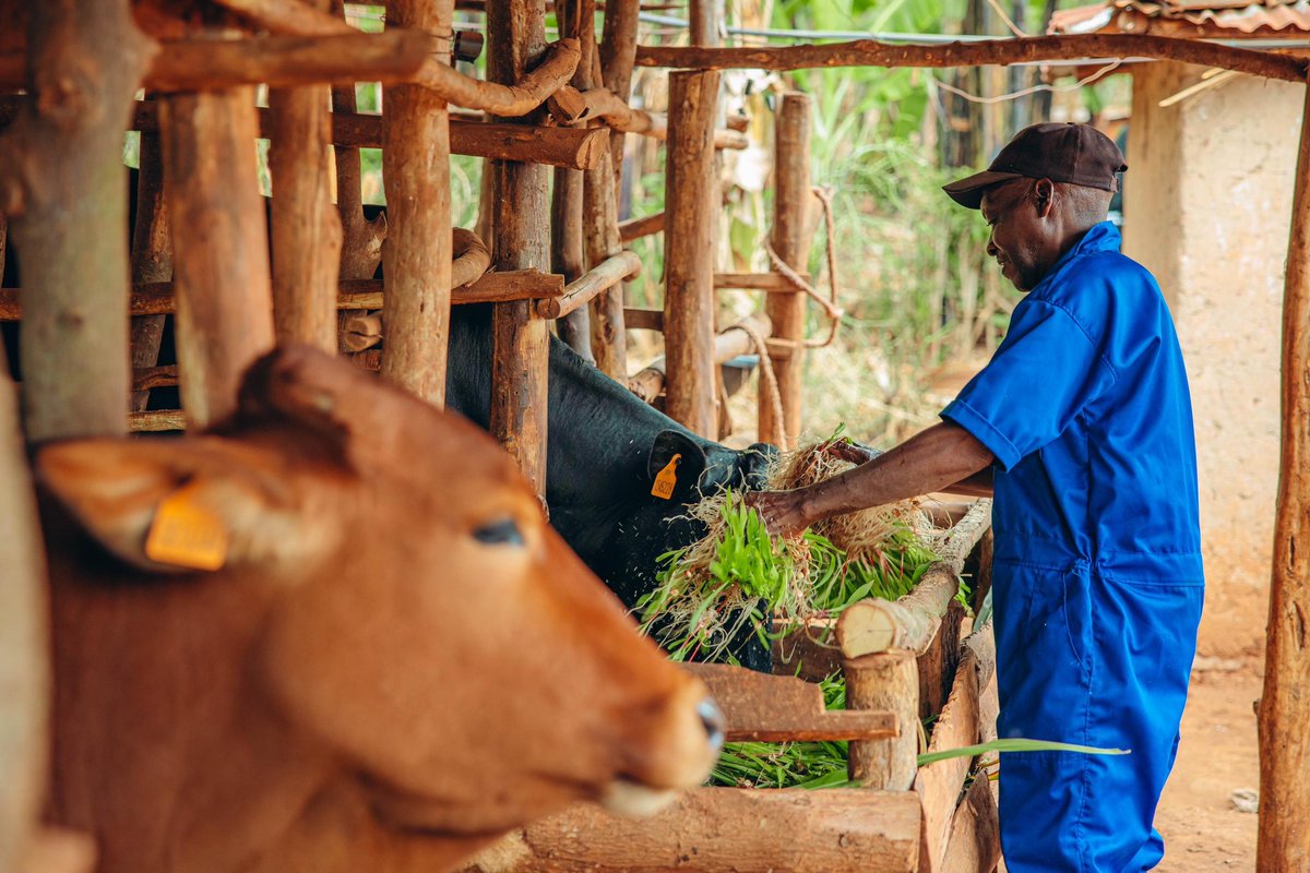 UgandanBy's tweet image. one health...all life matters
#ZoNoHchallenge &amp;amp; #OneHealth