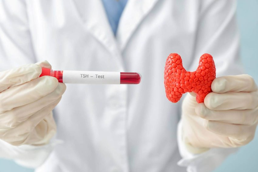 Hablemos sobre el hipotiroidismo, una condición frecuente y que es muhco más que "un metabolismo lento"

Abro hilo 🧵