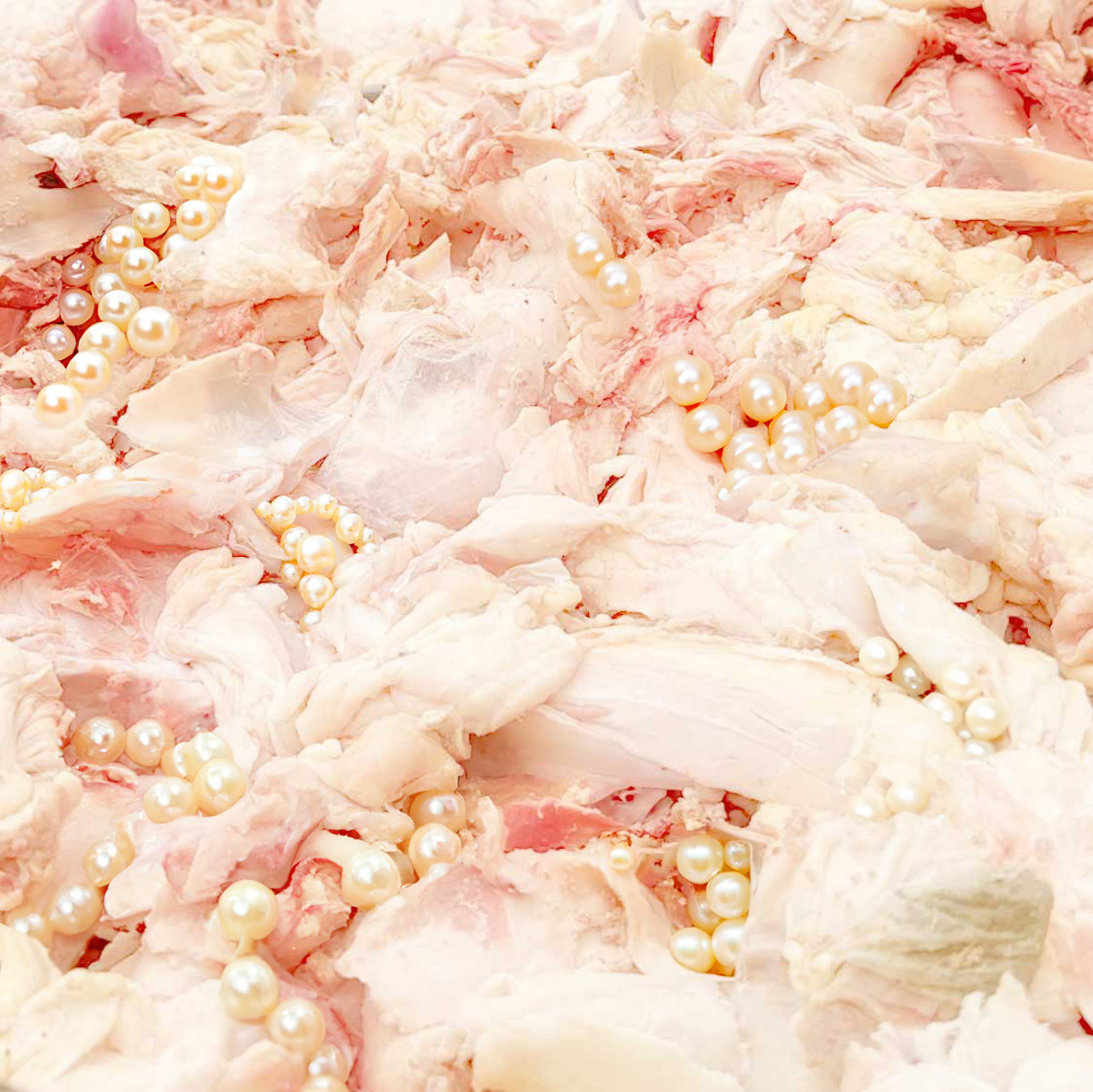 burbuj1t4s's tweet photo. a picture inside me on
@zora ·
· #softt #gore https://t.co/ZIuQPeppAF