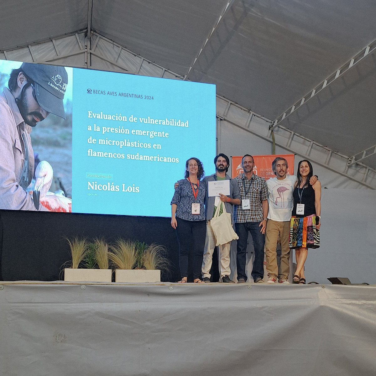 ✨Hoy les presentamos a Nicolás Lois <a href="/NicolasLois/">Nicolás Lois</a> del <a href="/LEyCA_UBA/">LEyCA</a> ganador de las Becas Aves Argentinas 2024 en categoría Postdoctorado 🏅. ¡Conozcamos más sobre su increíble trabajo con flamencos!
👨‍🏫 Director: Juan Carlos Reboreda <a href="/JCReboreda/">Juan Carlos Reboreda</a> 
🧵1/8