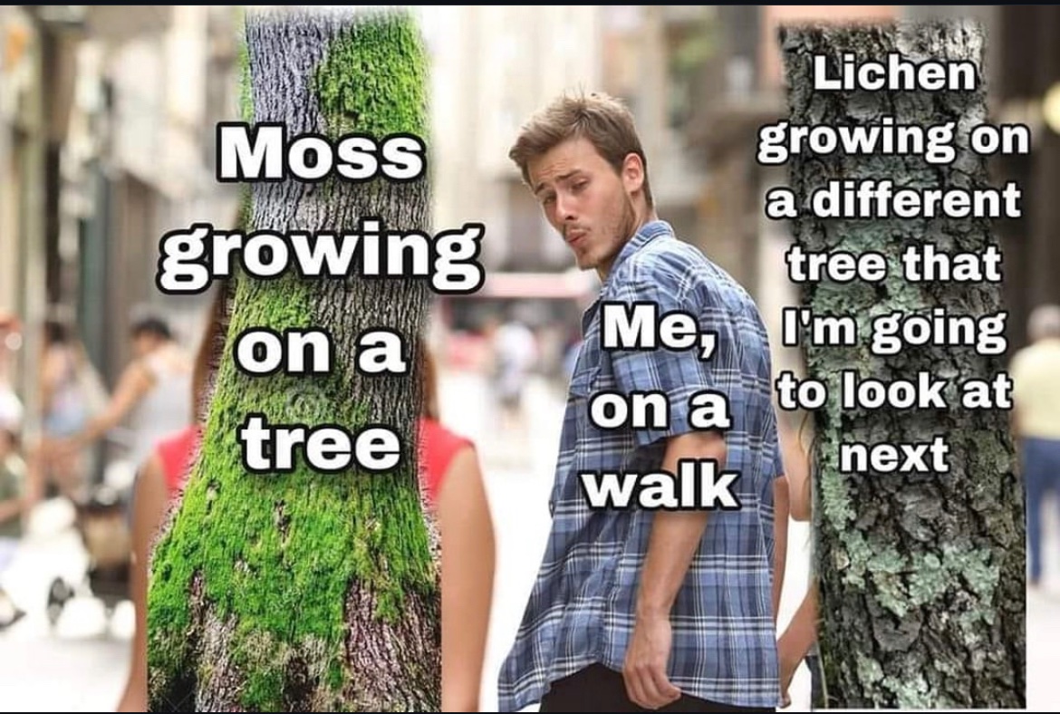 RespectfulMemes's tweet photo. https://t.co/HghZjt5tkI