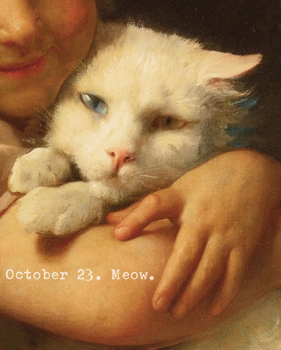 soli (@solisolsoli) on Twitter photo 