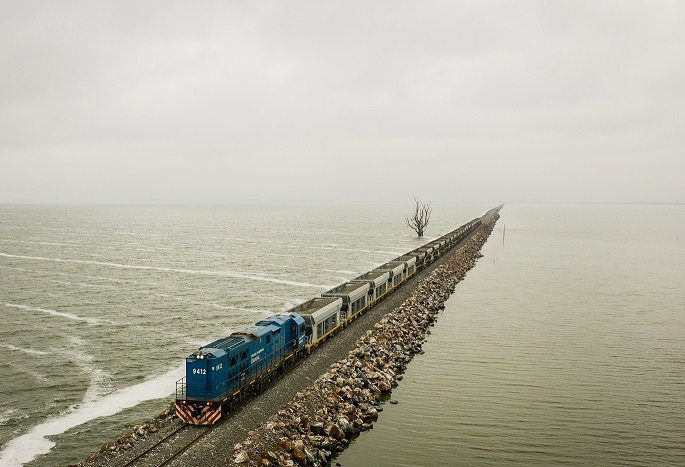 Thiago Souto tweet media