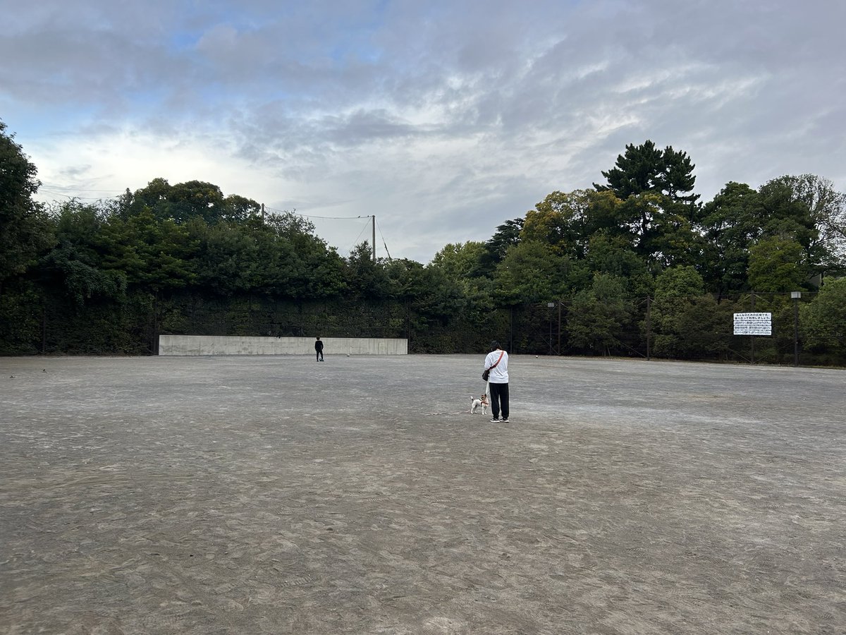 今日から、新たな取り組みとして、地元の子どもたち向けにサッカーの朝練を始めます @下馬中央公園。記念すべき第1回なのでパシャリ📷

子どもたちの自立と、自分で考える力、上達したい思いと自分との向き合い方、その辺りを楽しみながら育めたら良いなと思っています

#SetagayaKidsAsaren#1