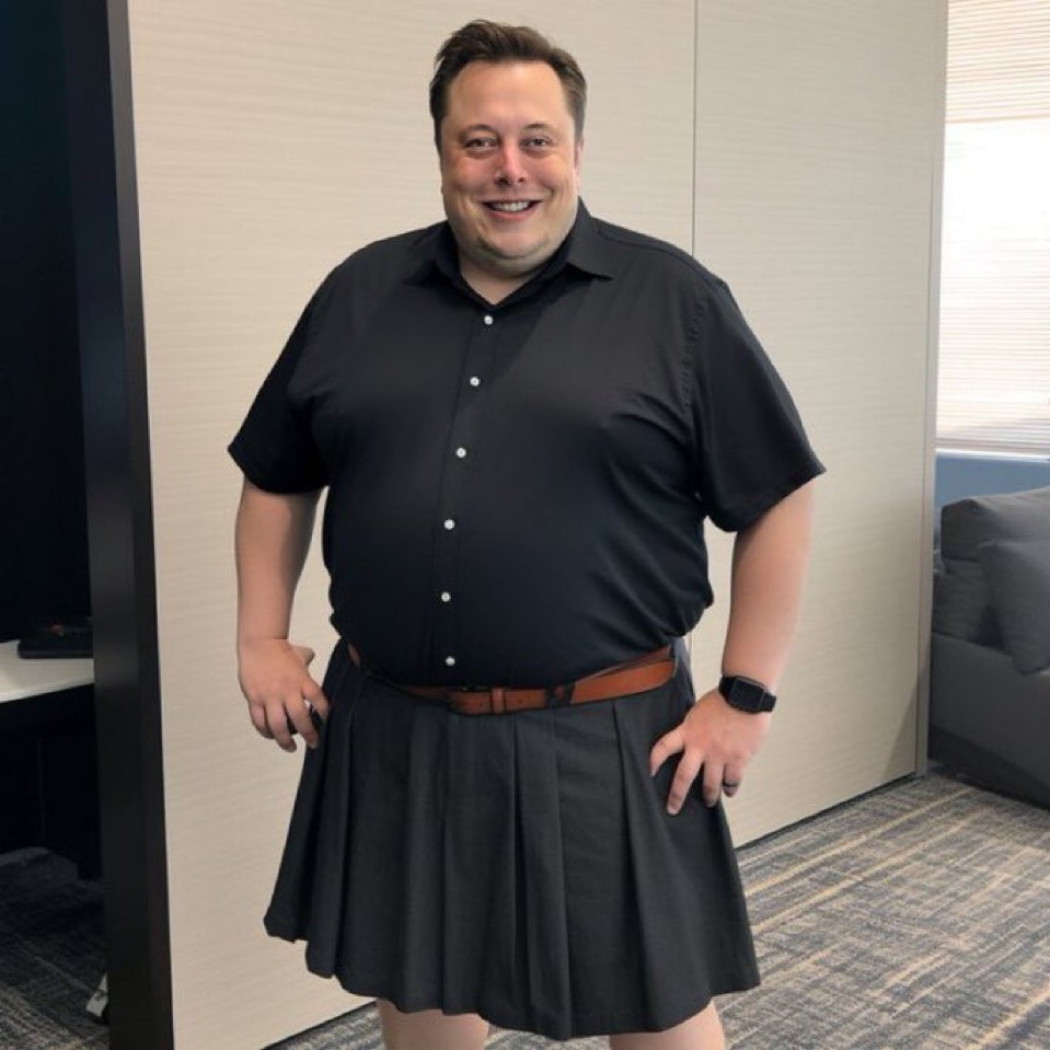 Not Elon Musk tweet media