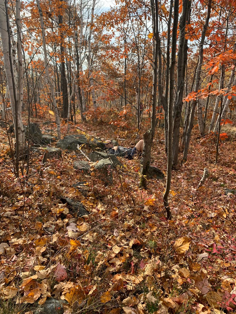 St. Albert Learning Centre joined the Take Me Outside to Learn Challenge for the 3rd year in a row! Huge thanks to Ms. Johncox for leading us through a peaceful Shinrin Yoku (Forest Bathing) session, helping us connect with nature and mindfulness. #TMO4LearningChallenge