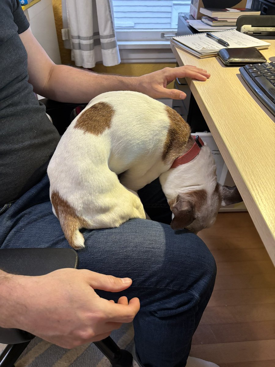 Apparently, this was comfortable