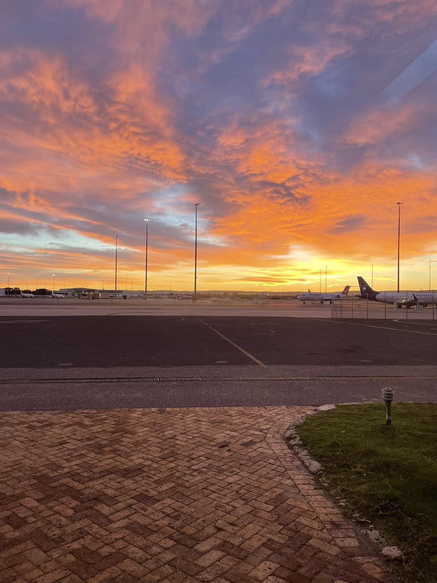 FantasyDiving tweet media