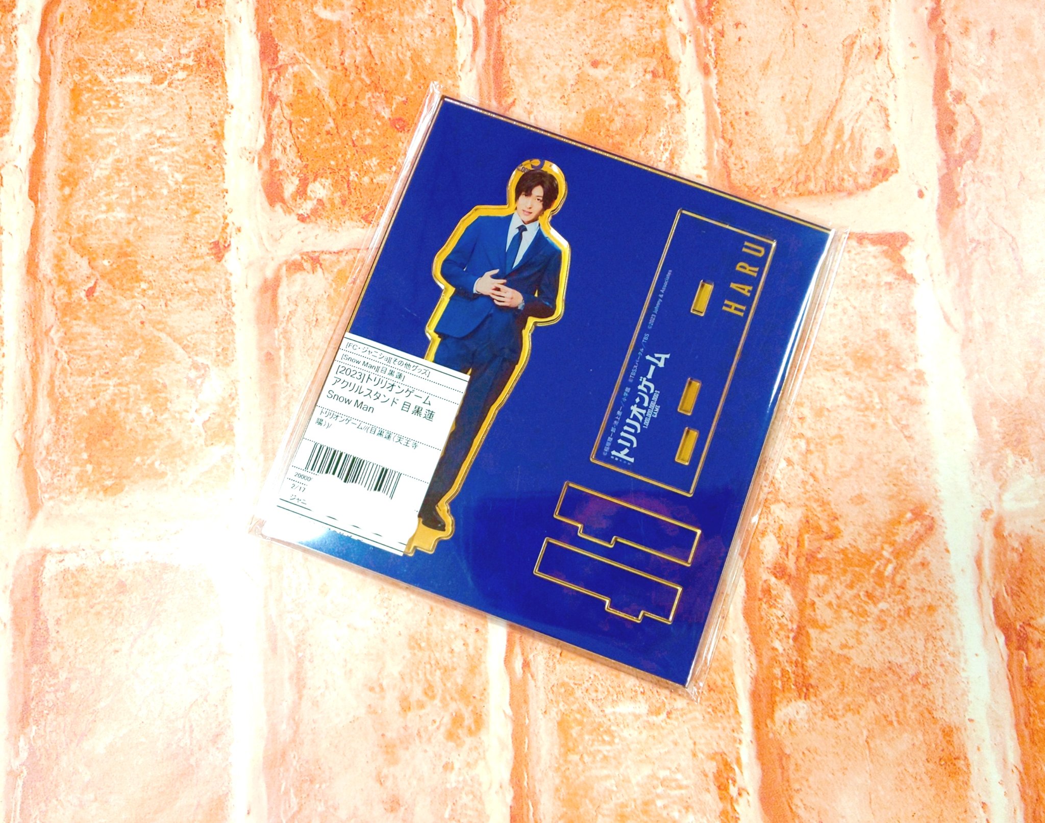 [専用]ジャニーズグッズ ジャニランド/スタランド┃公式ジャニーズグッズの中古販売