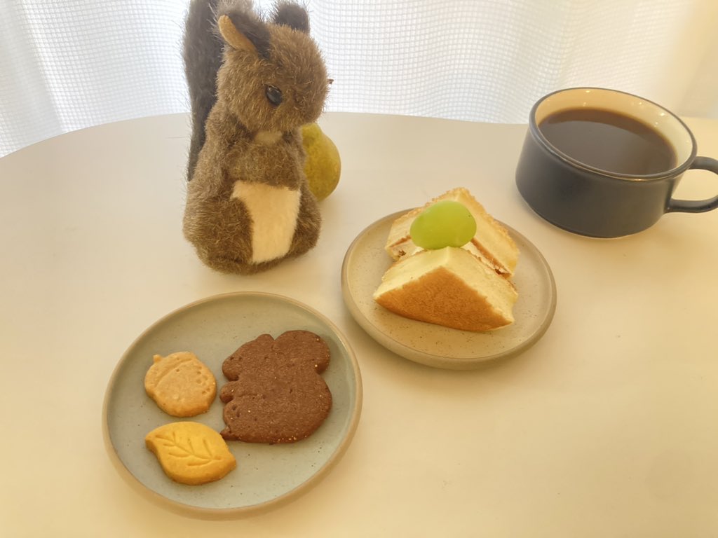 今日は雨なのでお部屋の中でおやつタイム。リスのファンの人間たちからリスの形のクッキーもらってうれしいリス。