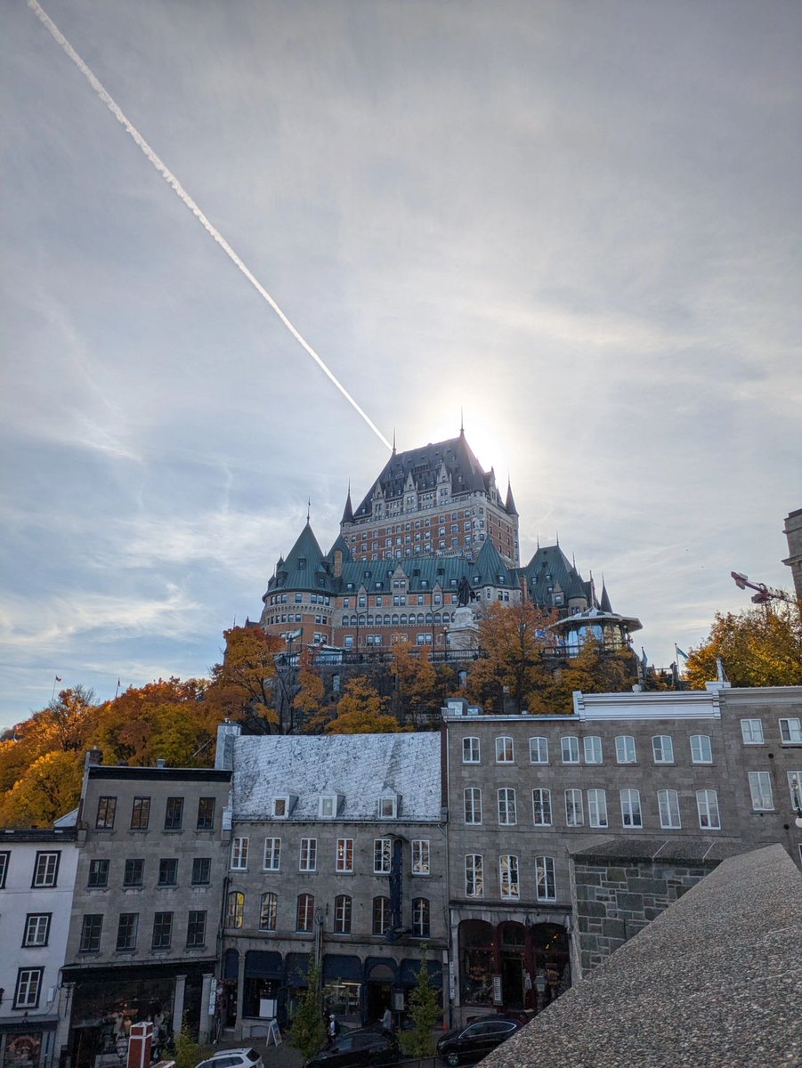 One of the perks of research is travelling to new, exciting places. ✨

Looking forward to the #AACPDM2024, but first, sightseeing and enjoying the charm of Québec City 🍁