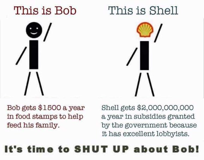 The Anarchist Turtle 🏴Ⓐ🔆 (@anarchoboognish) on Twitter photo 
