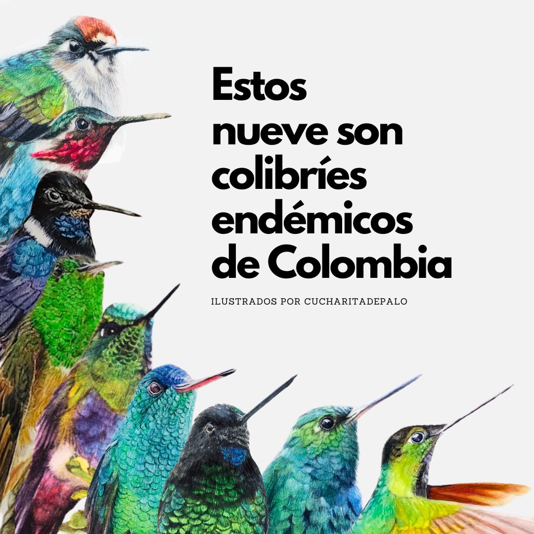 Los puse a hacer una filita