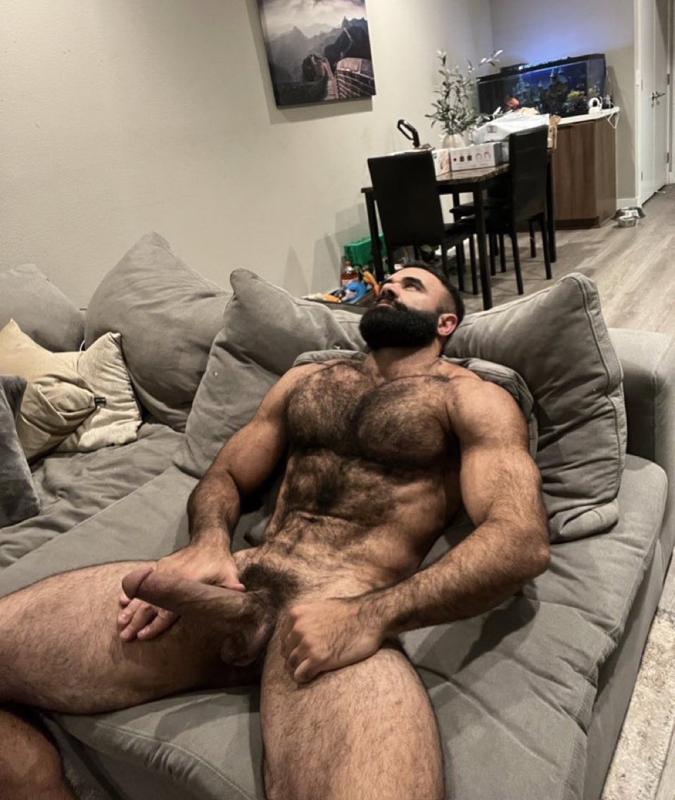 IG: @PersianWolf2.0 MIA 4/10-14 PV 5/19-24 tweet media