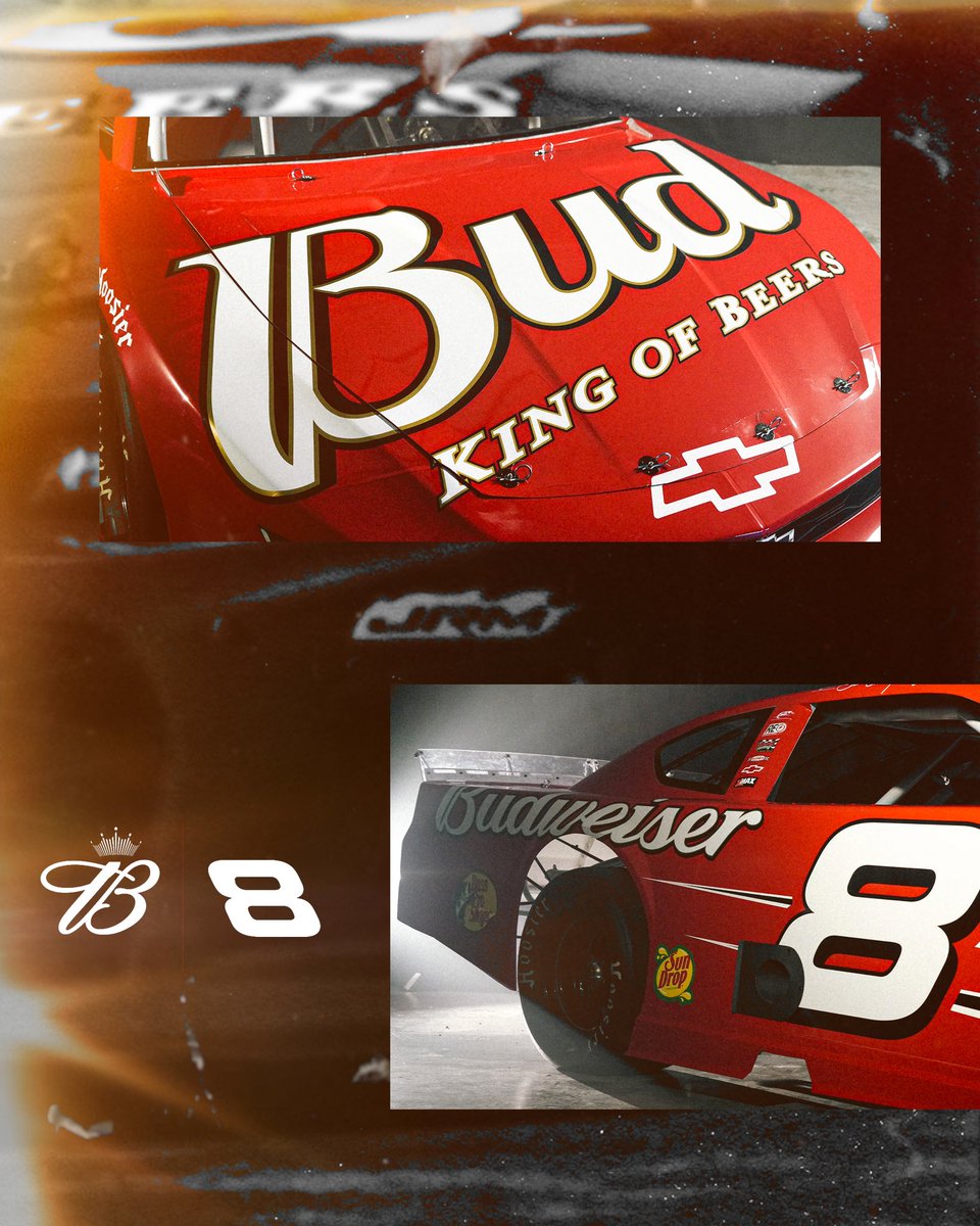 Dale Earnhardt Jr. tweet media