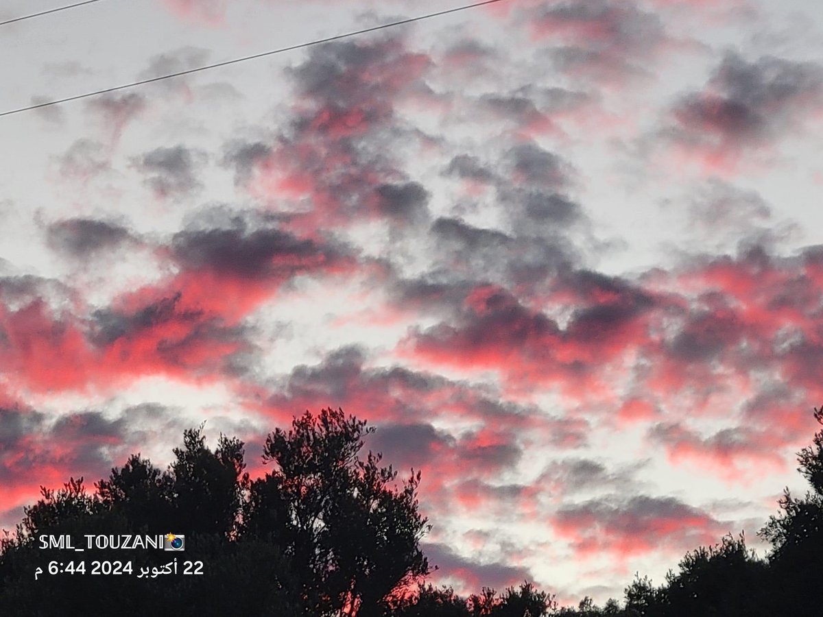 لِكل شَخص مَر مِنْ هنَا الان 
جَمَعَ اللهُ بَينك وَبَيْنَ كُل دَعَوَاتِك
 الَّتِي تُلِح بِها على الله 
 وَقَر عَيْنَكَ بِخير ما تتمنى.  🤎