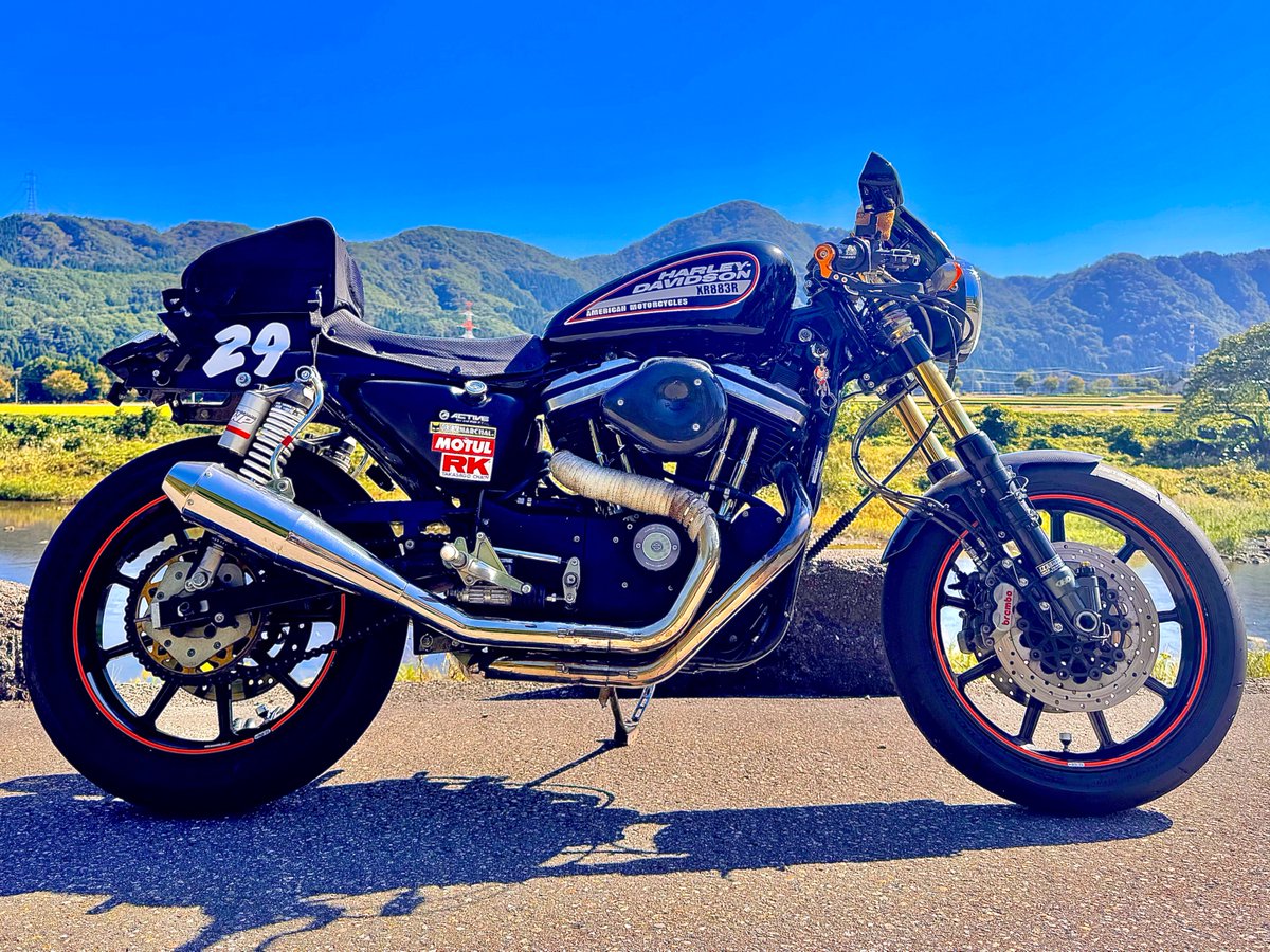 ブラックR＠うさぎ男 (@black883r) / Posts / X