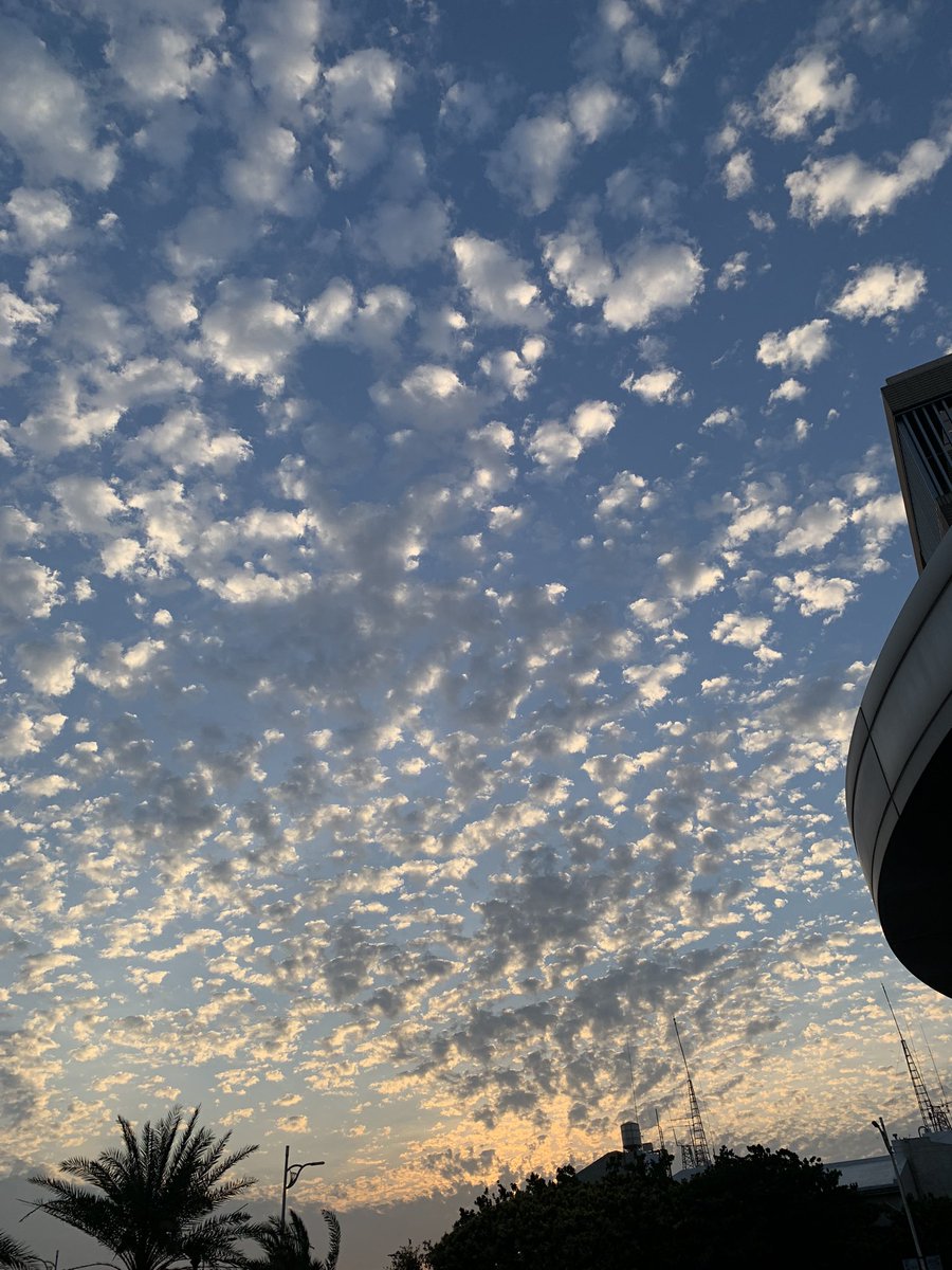 人心險惡及管理的累，讓人欲哭無淚