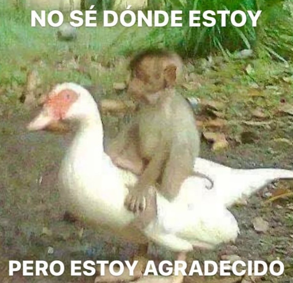 emociones amarillas (@conoloracigarro) on Twitter photo 