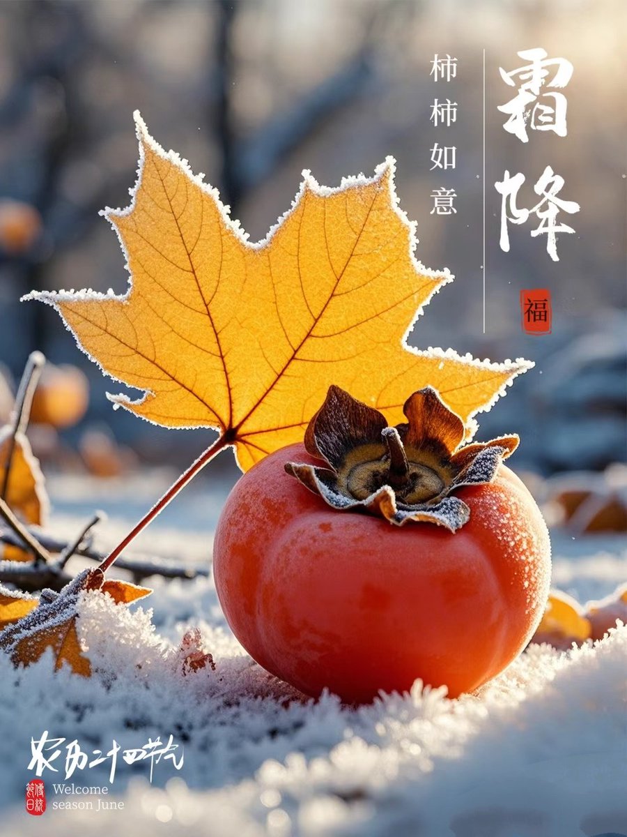 霜降柿子红，时至秋日终!
霜降，是二十四节气中的第十八个节气，秋季的最后一个节气。每年公历10月23日左右，霜降节气含有天气渐冷、初霜出现的意思，是秋季的最后一个节气，也意味着冬天的开始，霜降时节，养生保健尤为重要，民间有谚语”一年补透透，不如补霜降”，足见这个节气对我们的影响。