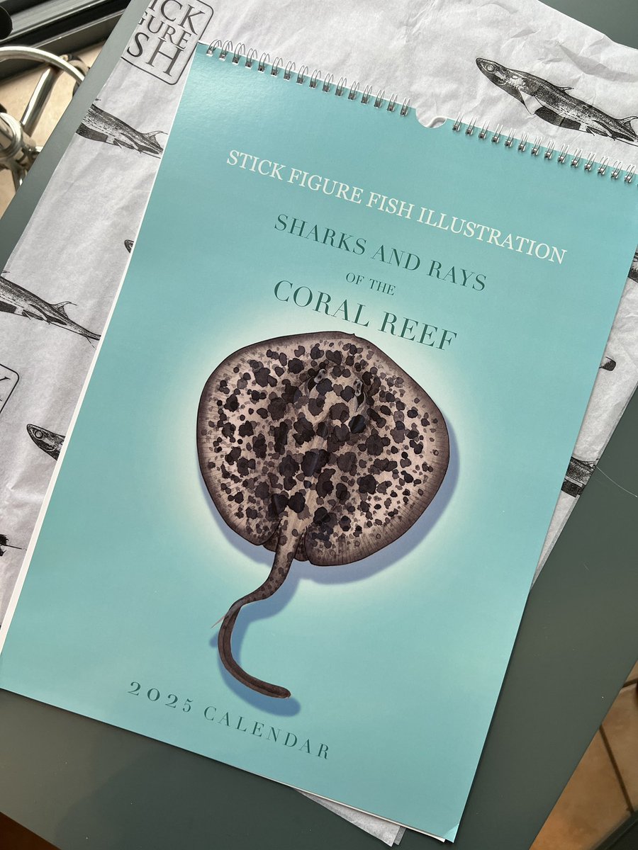 Dr Lindsay Marshall tweet media