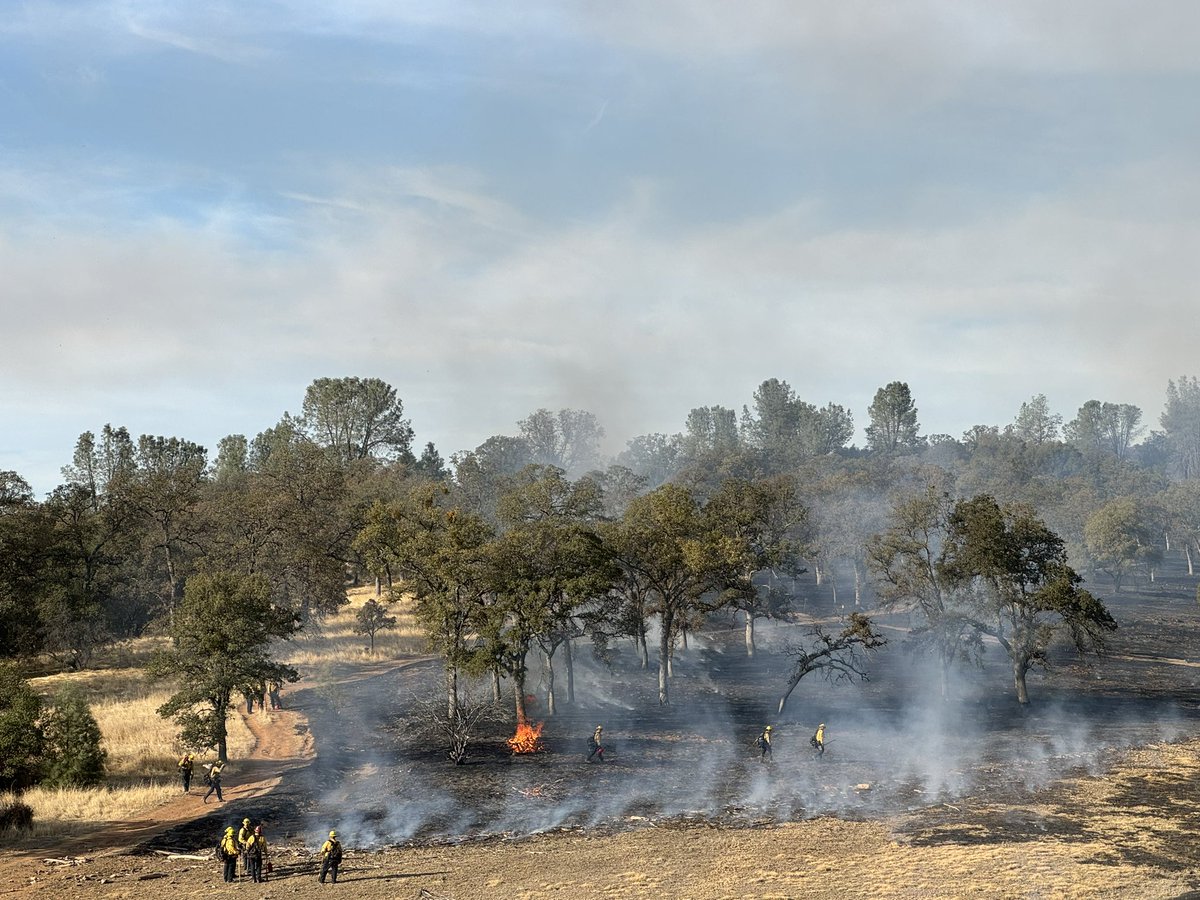 CALFIRE_ButteCo's tweet image. #LoaferDWR-RX(Final) The 160 acre control burn is complete. Fire Engines will patrol the area for the next few days. Smoke may be visible in the area through Wednesday.