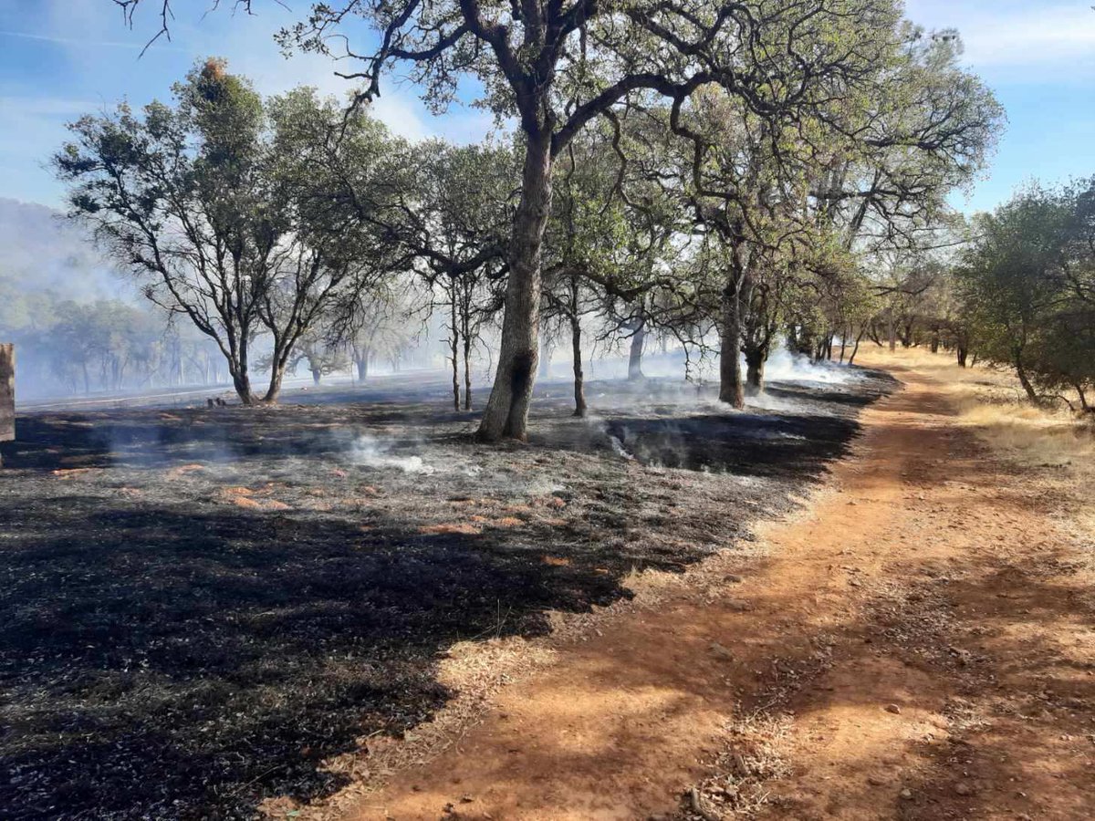CALFIRE_ButteCo's tweet image. #LoaferDWR-RX(Final) The 160 acre control burn is complete. Fire Engines will patrol the area for the next few days. Smoke may be visible in the area through Wednesday.