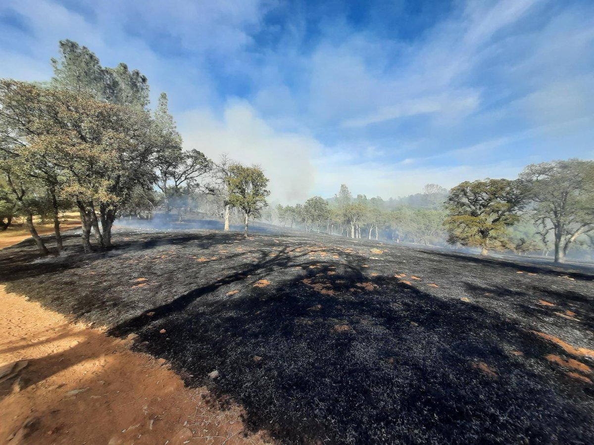 CALFIRE_ButteCo's tweet image. #LoaferDWR-RX(Final) The 160 acre control burn is complete. Fire Engines will patrol the area for the next few days. Smoke may be visible in the area through Wednesday.