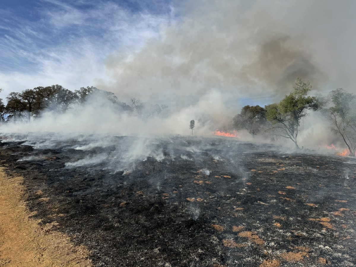 CALFIRE_ButteCo's tweet image. #LoaferDWR-RX(Final) The 160 acre control burn is complete. Fire Engines will patrol the area for the next few days. Smoke may be visible in the area through Wednesday.