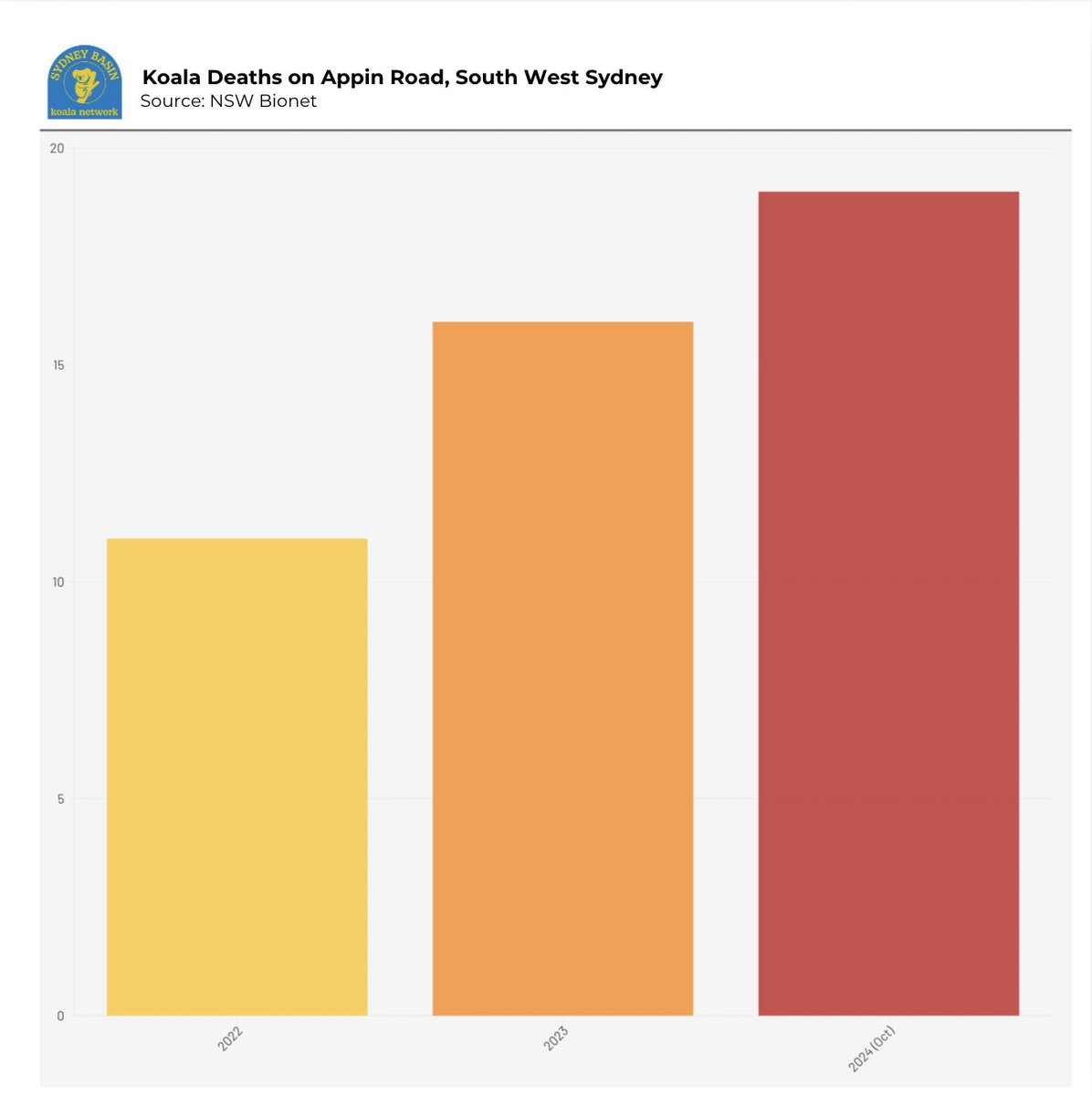 Sydney Basin Koala Network tweet media