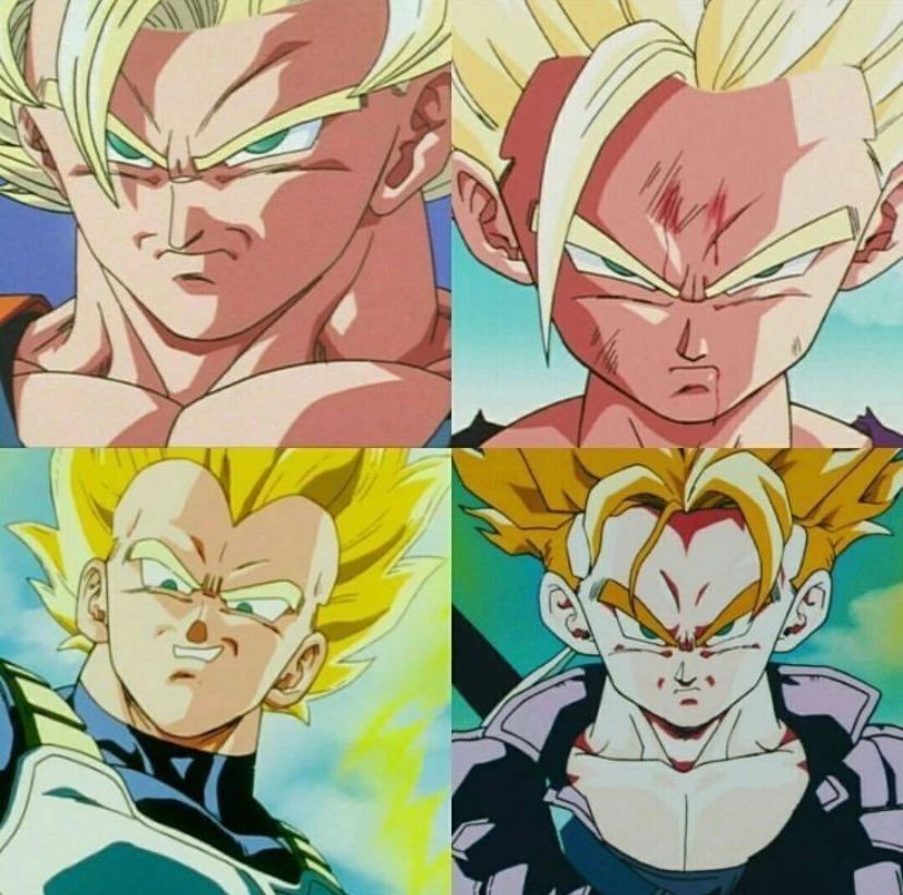 DBZdaily_'s tweet photo. Saiyan pride https://t.co/ptqj40gzUS
