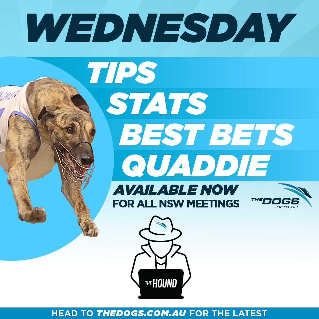 What to do on a Wednesday... 🤔

Head to #TheHound for all the tips and stats on today's meetings! What do the numbers tell you?

🖱️👉 thedogs.com.au/racing/the-hou…
#thedogs #bestbets #greyhoundracing