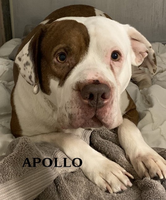 Lisa Brabson. tweet media