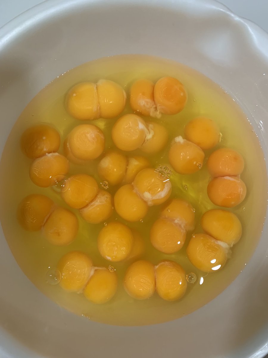 卵16個割った結果カオスなこととなりました🐥🐥🐥🐥
全部双子🥚🥚