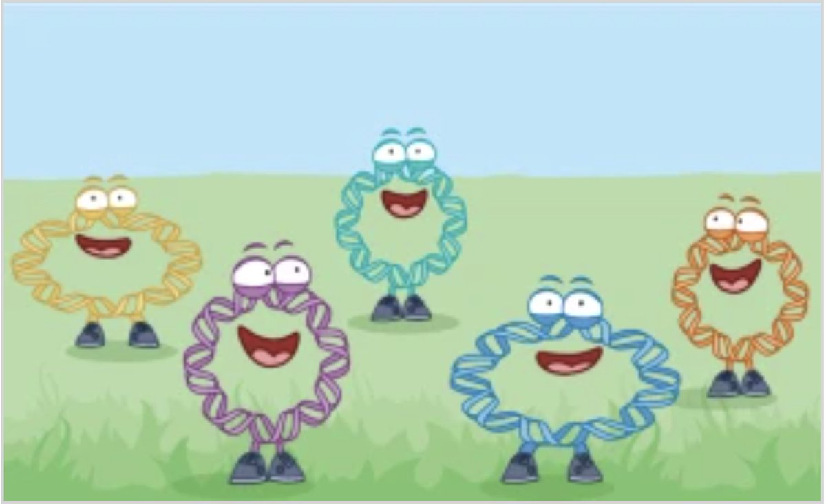 Integrated Microbial Genomes & Microbiomes (IMG/M) (@img_data) on Twitter photo ICYMI in <a href="/NatureRevMicro/">Nature Reviews Microbiology</a> Genome Watch from <a href="/apcamargo_/">Antonio Camargo</a> <a href="/jgi/">Joint Genome Institute</a>: On plasmid diversity and prevalence, and the challenges in accurately reporting plasmid genomes ID'd from metagenomic data. rdcu.be/dXIOU
(Art: Amie Fernandez/Springer Nature Limited) ICYMI in <a href="/NatureRevMicro/">Nature Reviews Microbiology</a> Genome Watch from <a href="/apcamargo_/">Antonio Camargo</a> <a href="/jgi/">Joint Genome Institute</a>: On plasmid diversity and prevalence, and the challenges in accurately reporting plasmid genomes ID'd from metagenomic data. rdcu.be/dXIOU
(Art: Amie Fernandez/Springer Nature Limited)