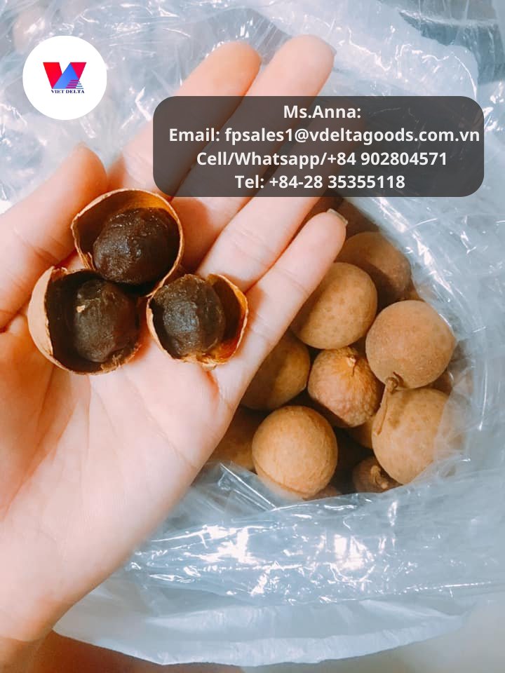 1Export1's tweet photo. Dried longan with shell: A nutritional powerhouse!

Contact us: 
Ms. Anna
Email: fpsales1@vdeltagoods.com.vn
Cell/Whatsapp/+84 902804571
Tel: +84-28 35355118
#driedlongan #healthyeating #naturalremedies #superfood https://t.co/CH8cqueZpA