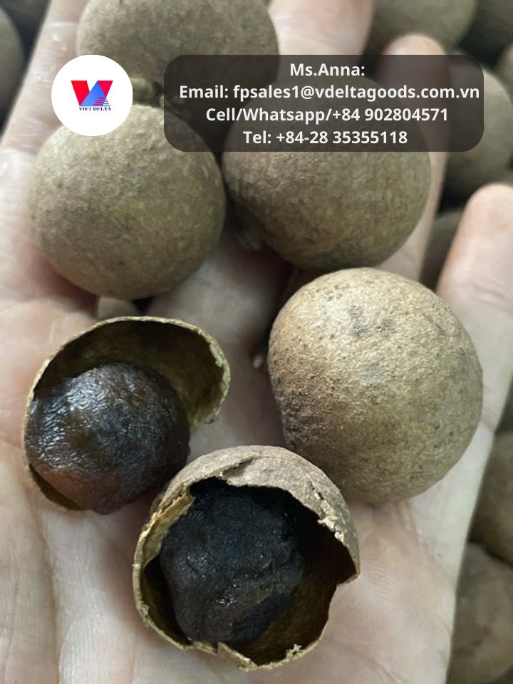 1Export1's tweet photo. Dried longan with shell: A nutritional powerhouse!

Contact us: 
Ms. Anna
Email: fpsales1@vdeltagoods.com.vn
Cell/Whatsapp/+84 902804571
Tel: +84-28 35355118
#driedlongan #healthyeating #naturalremedies #superfood https://t.co/CH8cqueZpA
