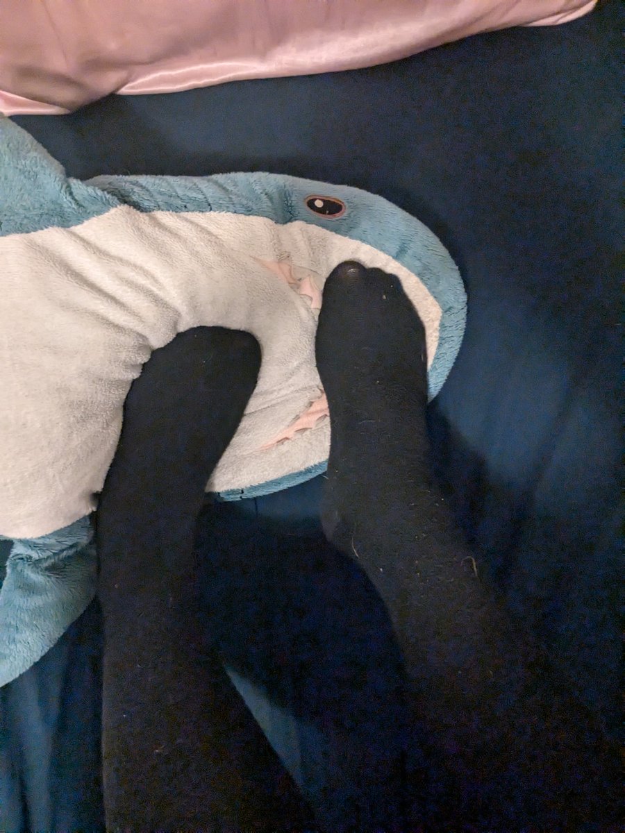 AD_Foxx_'s tweet photo. Have some Blahåj for your time

#transfem #feet #stockings #footworship #prettyfeet #feetfetish #blahåj #nsfwtwt https://t.co/ZNDhgcrOdJ