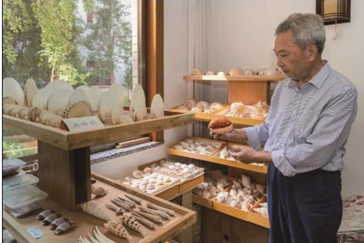 zhu_alice50849's tweet image. 🔍🏡 In his home, Zhang Xingan showcases the beauty of shells and the mysteries of nature. Join him on this journey through the cosmos and ocean! 🌠#ShellMuseum #NatureLovers