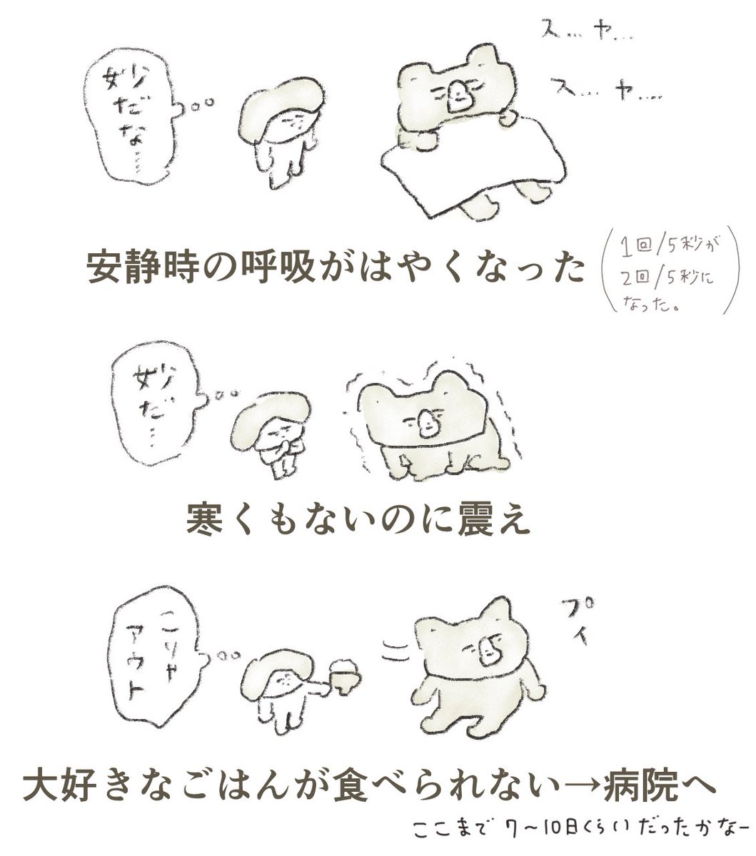 ニーニー 3回目の膵炎の兆候メモ 