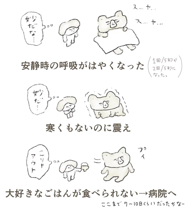 ニーニー 3回目の膵炎の兆候メモ 