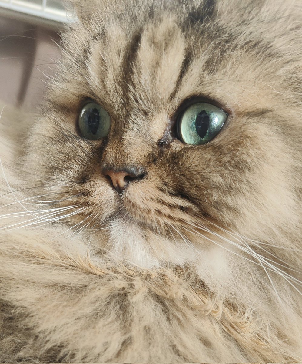 おはようございます☀️