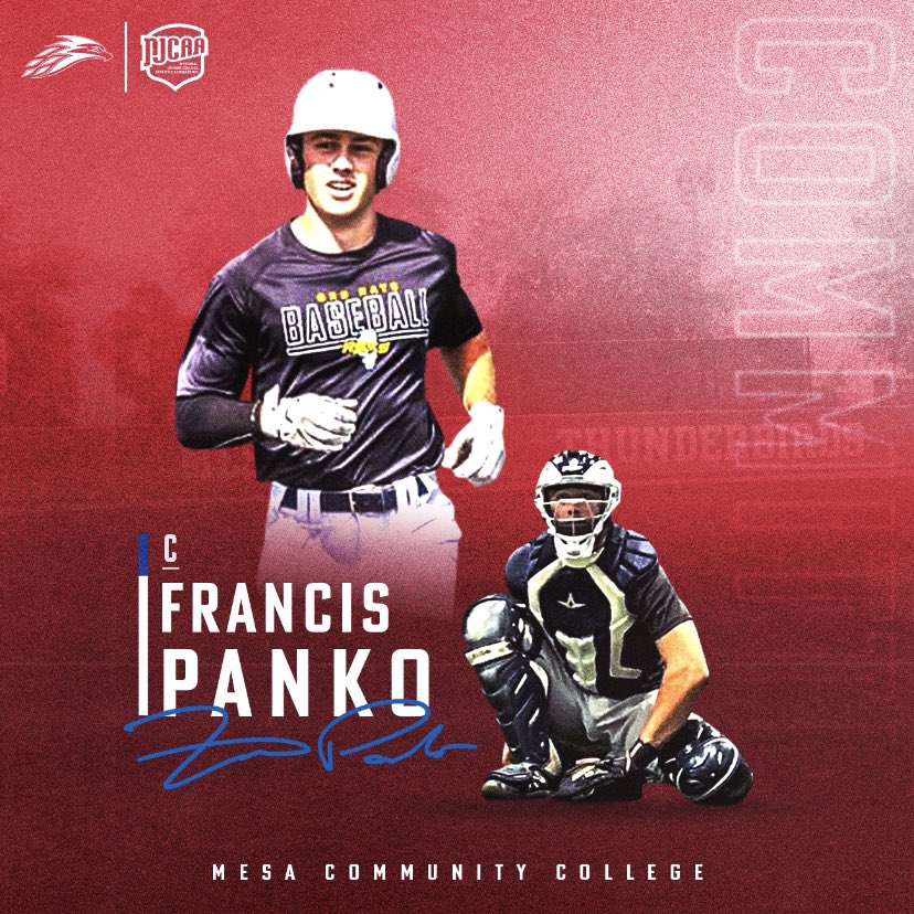 Francis Panko tweet media