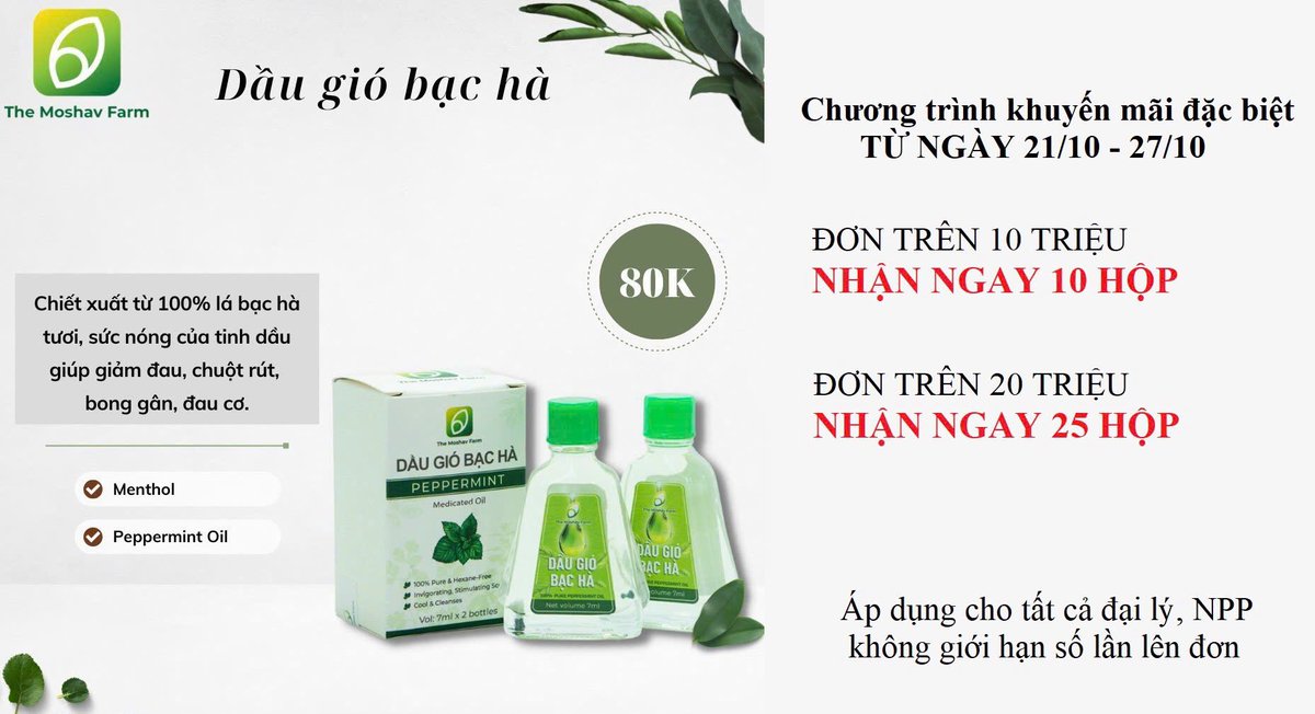 Chương trình tri ân khuyến mãi tặng quà dành cho Đại lý Le Plateau 
💥 Hoá đơn từ 𝟭𝟬 𝙩𝙧𝙞𝙚̣̂𝙪 👉 Tặng 𝟭𝟬 𝙝𝙤̣̂𝙥 𝙙𝙖̂̀𝙪 𝙜𝙞𝙤́ 𝙗𝙖̣𝙘 𝙝𝙖̀ (𝟮𝟬 𝙘𝙝𝙖𝙞) 
💥 Hoá đơn từ 𝟮𝟬 𝙩𝙧𝙞𝙚̣̂𝙪 👉 Tặng 𝟮𝟱 𝙝𝙤̣̂𝙥 𝙙𝙖̂̀𝙪 𝙜𝙞𝙤́ 𝙗𝙖̣𝙘 𝙝𝙖̀ (𝟱𝟬 𝙘𝙝𝙖𝙞)