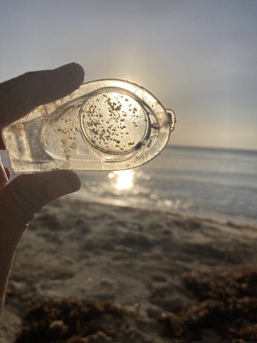 sandramp's tweet photo. Gm 🌞
It was a good day for #soakingsunshine #touchsand #touchplastic #touchocean #touchbutt 
And I did #touchtree on my bikeride through the jungle path 💫🌴 @littercoin @DeCleanupNet @petgasmx @refitulum @cleanify_ @HighlyArtistic #monthlyearthday https://t.co/12xAHuLNFW