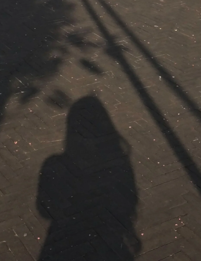 Kayleeligng's tweet photo. Looking at the world, I am light-footed. I am not good at talking, but I am busy with social activities. I like to be alone, but I am busy and hurried. I am just a few silver nails in the picture https://t.co/bNpJ6takKC